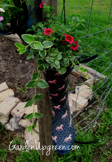 Use old garden boots as planters for plants and flowers