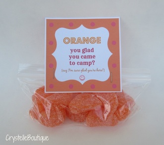 CrystelleBoutique - fun little treats ~ with free printables ~ for girls camp - Orange You Glad You Came to Camp? (cuz I'm sure glad you're here)