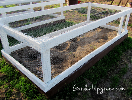 chicken wire covers for raised gardening beds